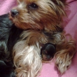 mimi u maminky
