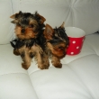 2 m�s�ce