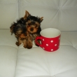 2 m�s�ce